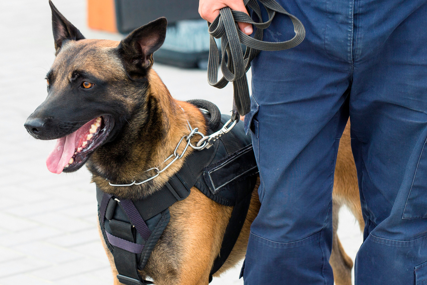 Sécurité privée : un secteur en croissance qui recrute et forme