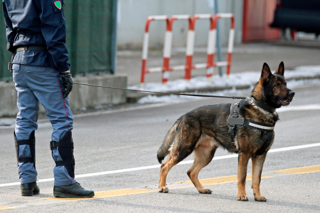 S&eacute;curit&eacute; priv&eacute;e : un secteur en croissance qui recrute et forme